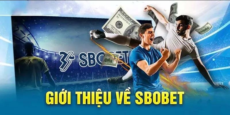 Tổng quan về sảnh cược Sbobet tại Kubet